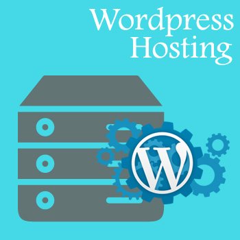 Wordpress Hosting in Pakistan